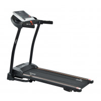 Беговая дорожка Royal Fitness RF-7