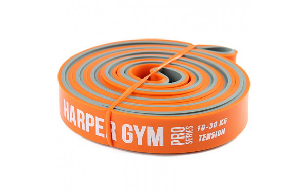 Эспандер для фитнеса замкнутый 10-30кг Harper Gym Pro Series NT18008 600_380